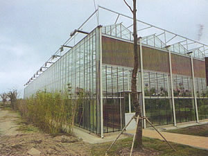 玻璃温室